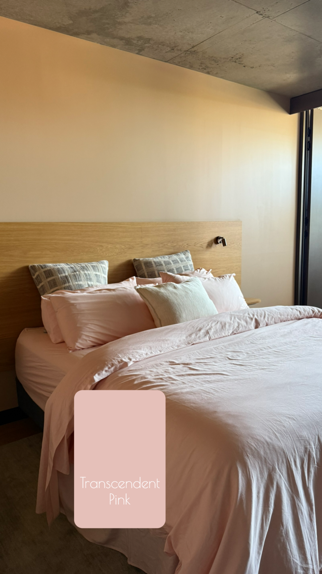 Transcendent pink bed set